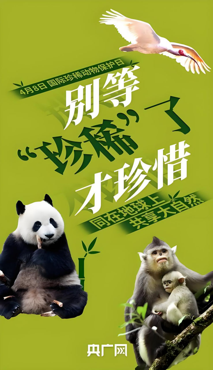 热门电视剧4